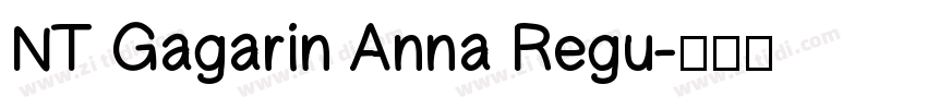 NT Gagarin Anna Regu字体转换